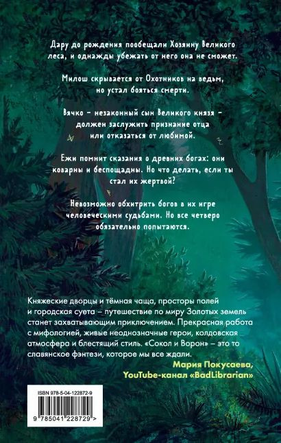 Золотые земли: Сокол и Ворон. Книга 1