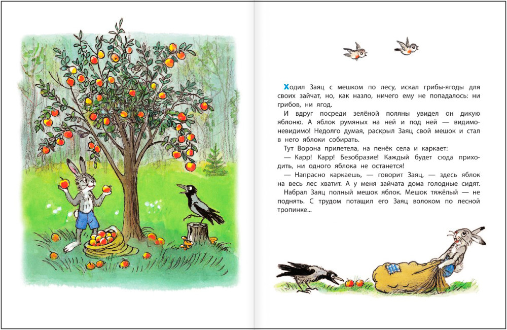 Сказка яблоко автор. Сутеев в. "яблоко сказка". Сказка мешок яблок Сутеев. Сказка Сутеева яблоко текст.