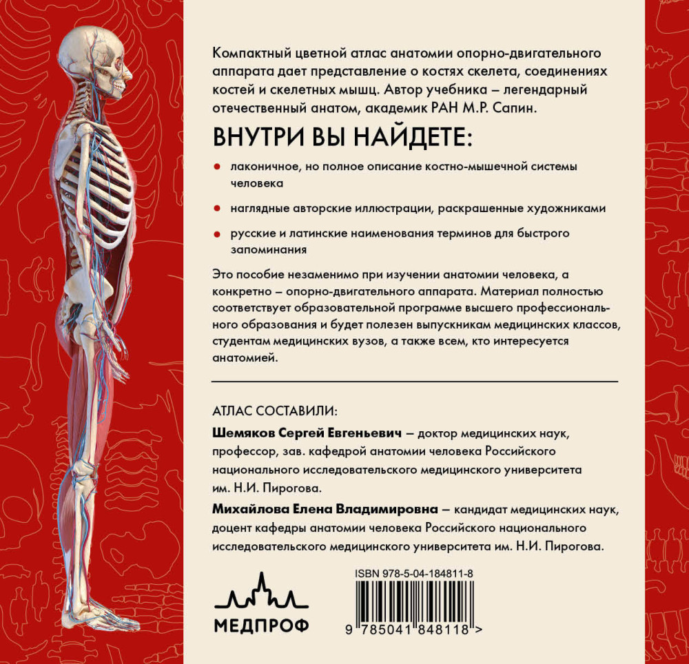 Анатомия человека: Компактный атлас – Опорно-двигательный аппарат