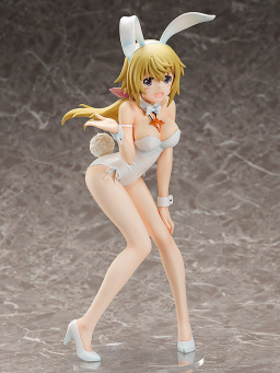  Infinite Stratos: Charlotte Dunois Bareleg Bunny Ver. (36 )