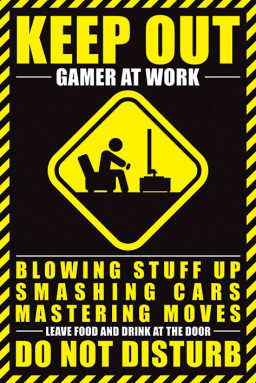 ������ Gamer At Work (�173)