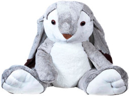 ������ ������� ���� (100 ��)