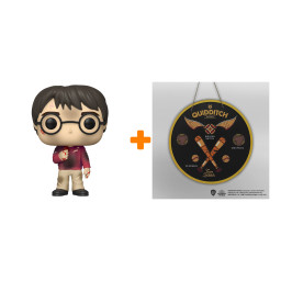  Harry Potter  Harry With The Stone + 3D  Quidditch Team