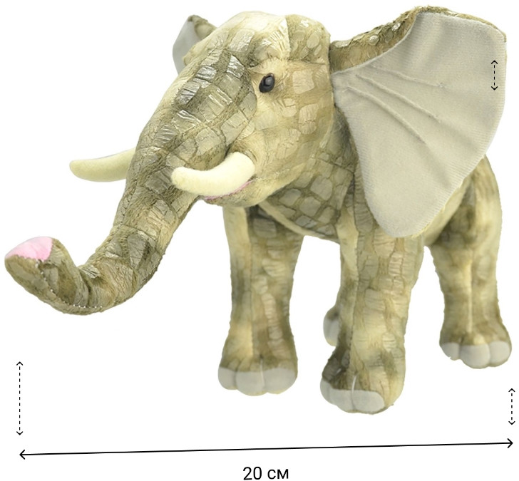 ������ ������� ���� (20 ��)