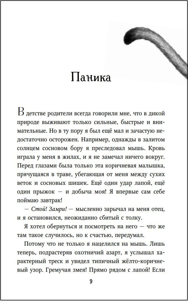 Дети леса: Месть пумы. Книга 4