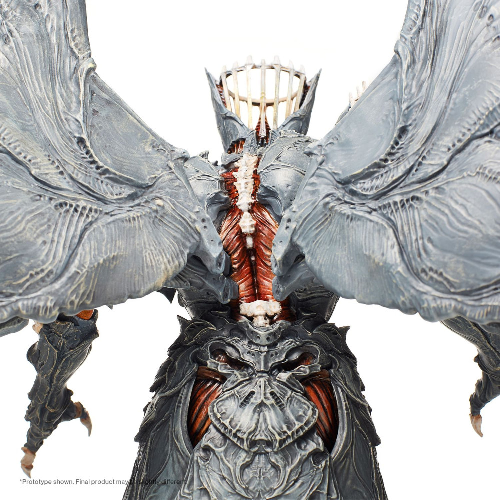 ������� Destiny 2: Witch Queen (29 ��)