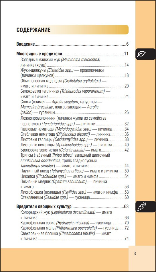 ��������� ���� � �������: ��������� �����-������������