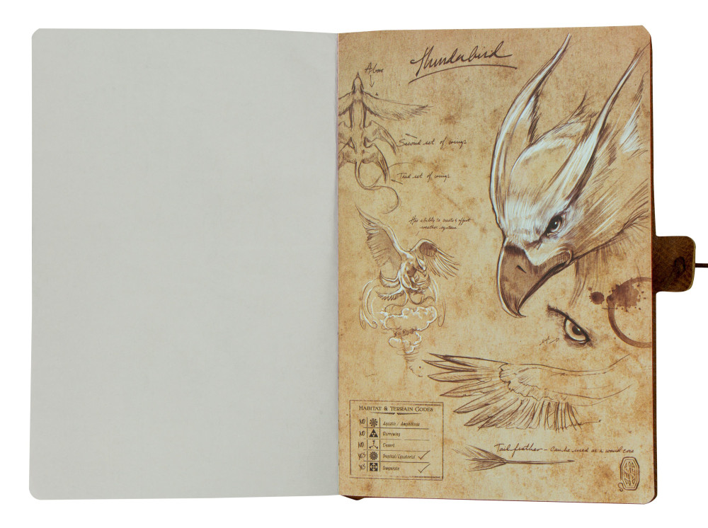 ������� Fantastic Beasts: Newt Scamander