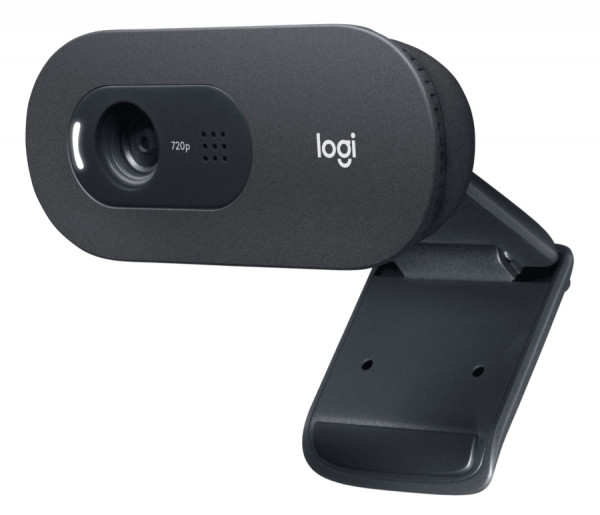 Веб-камера Logitech C505 (черный)