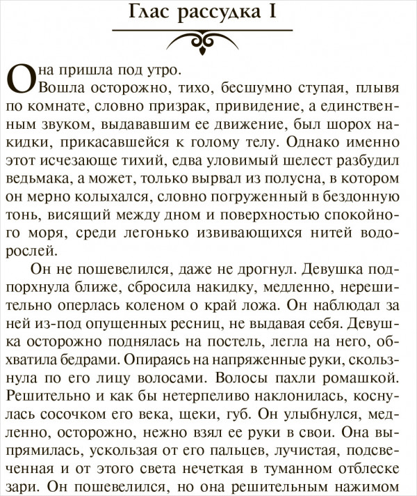 Ведьмак: Последнее желание / Меч предназначения
