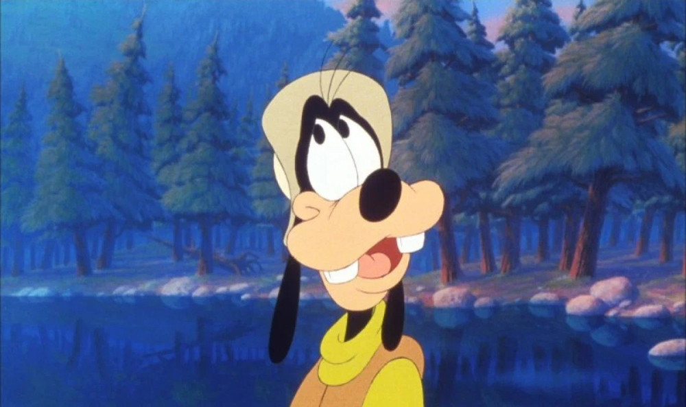 �������� ���� (DVD)