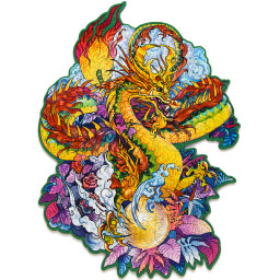 ���� ��������� ������ ����������