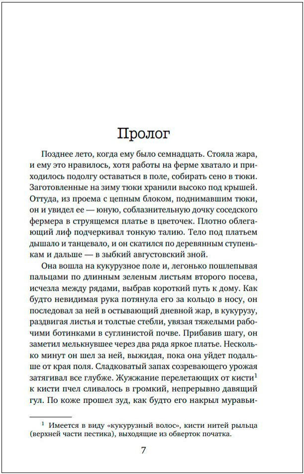 Каменные человечки
