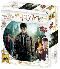 Super 3D Puzzle: Harry Potter – Гарри, Гермиона и Рон (500 элементов)