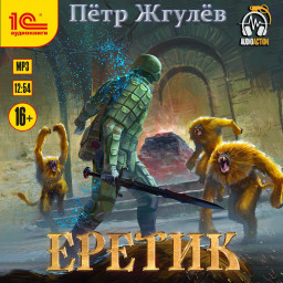  ( )
