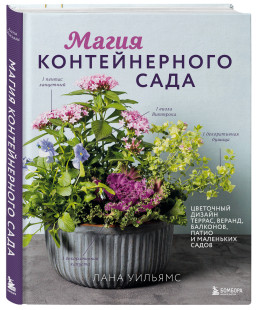 ����� ������������� ����: ��������� ������ ������, ������, ��������, ����� � ��������� �����