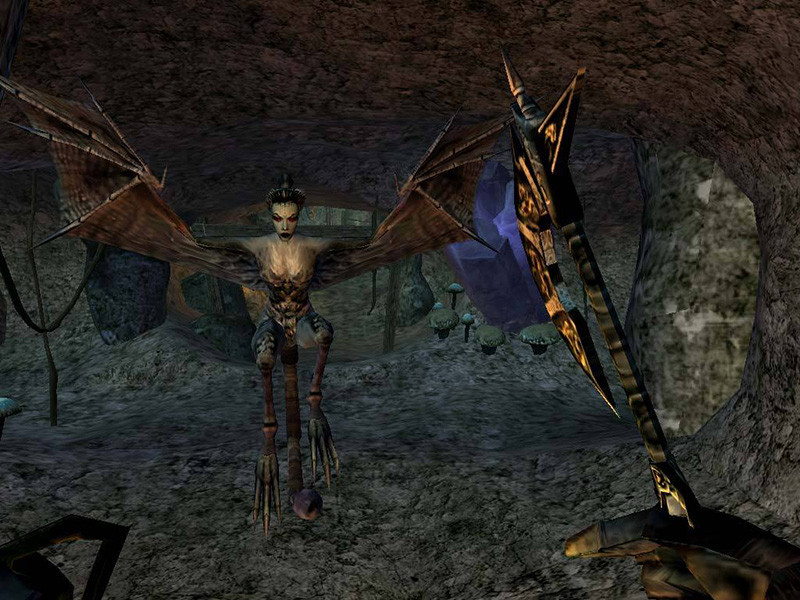 The Elder Scrolls III: Morrowind. Game of the Year Edition [PC,  ]