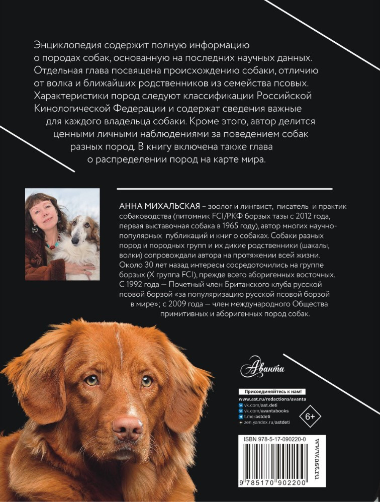 ������ �����: ������������ (������� � ������)