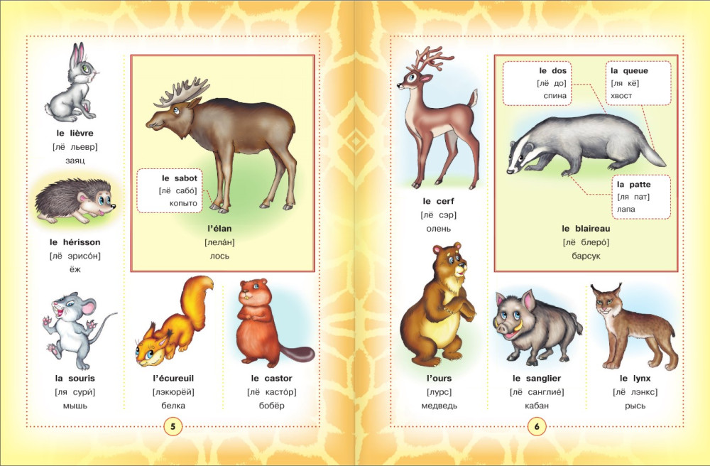 ����������-������� ���������� ������� ��� �����