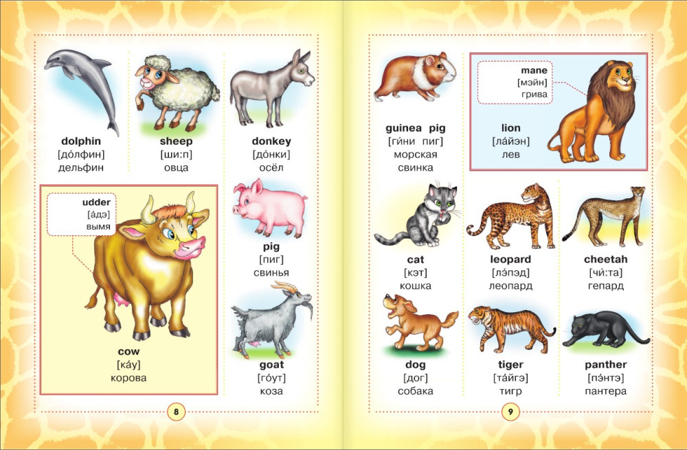 �����-������� ���������� ������� ��� �����