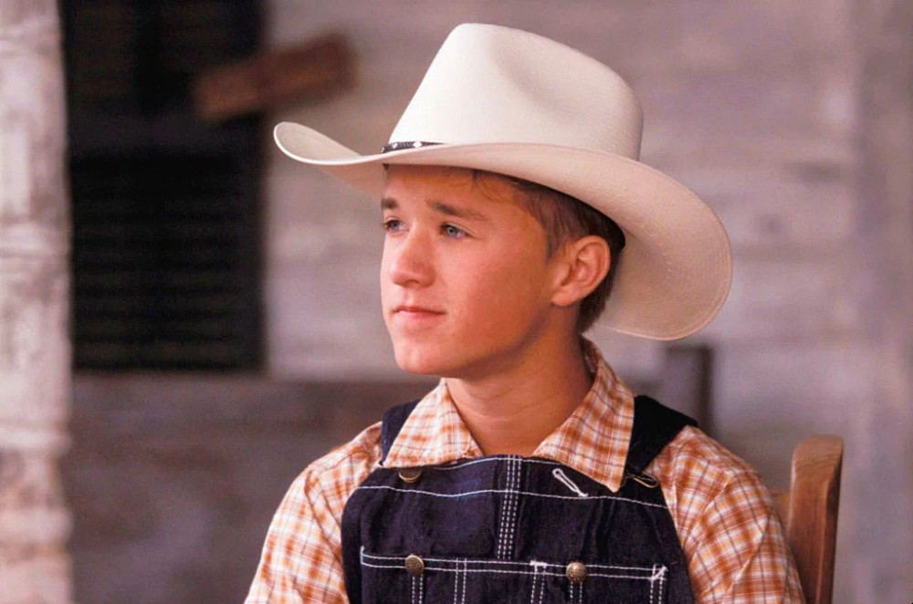 ����������� ���� (DVD)