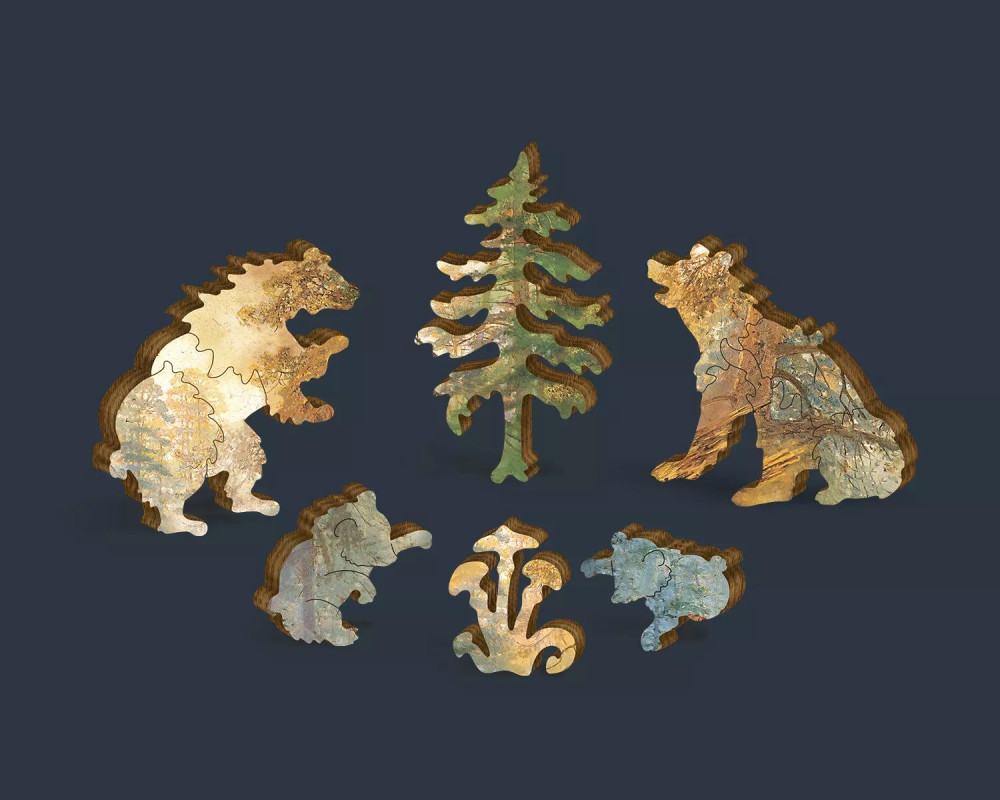  Wooden Puzzles:    