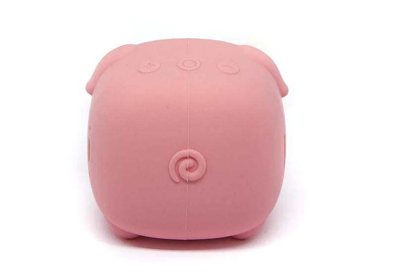   Smarterra Sweet Things PAS-ST100 PIGGY ( )