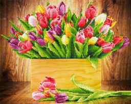 ����������� ������� �������� (50�40��)