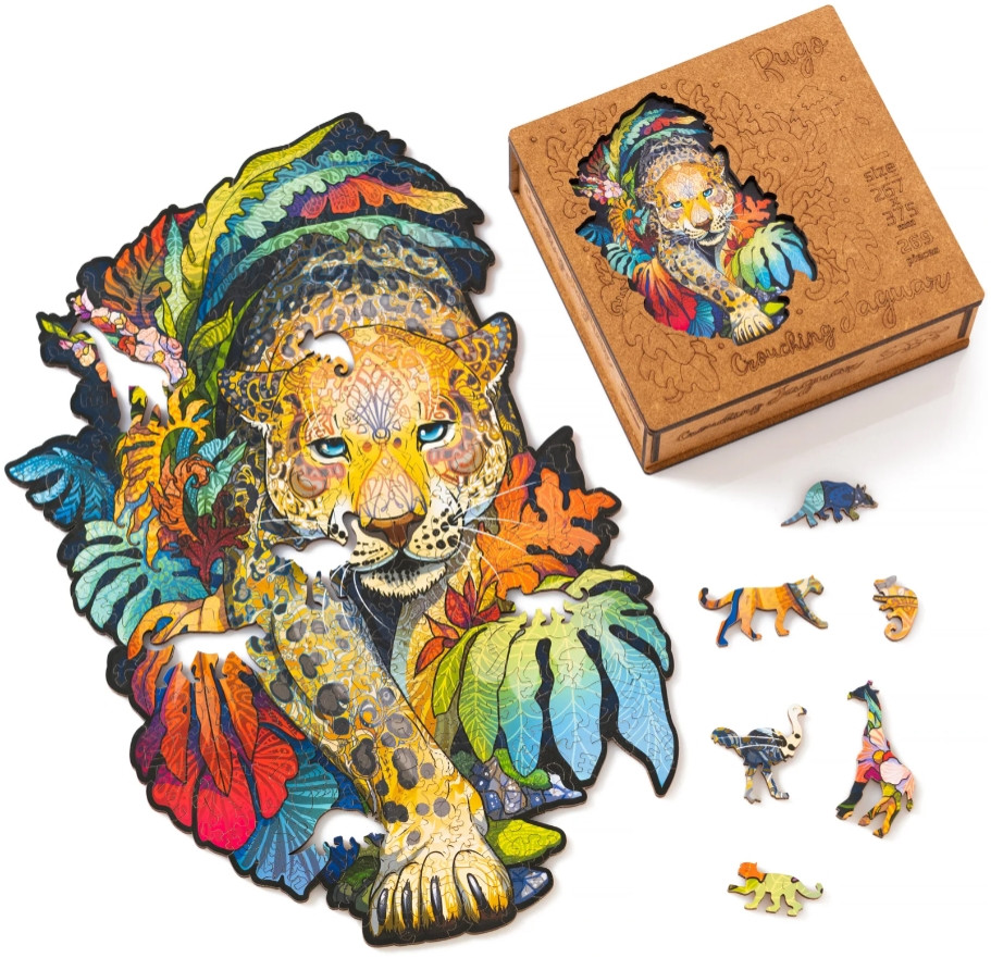 ���� ����� ���������� (XL)