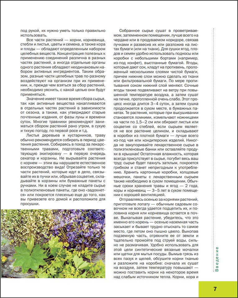 ������� ���������������� ������������ ������������� ��������