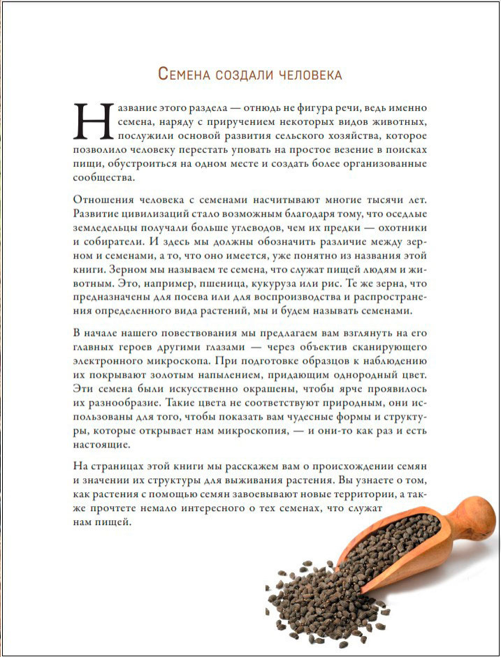 ������ � �����: ���������������� ����� � ������������ ����� � �������������������� ���������