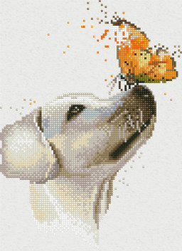 ����������� ������� ��������? (26�36��)