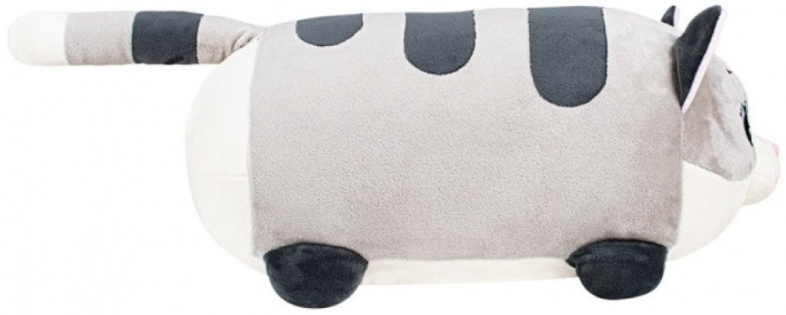 ������ ������� ����� �������� ����� (40 ��)