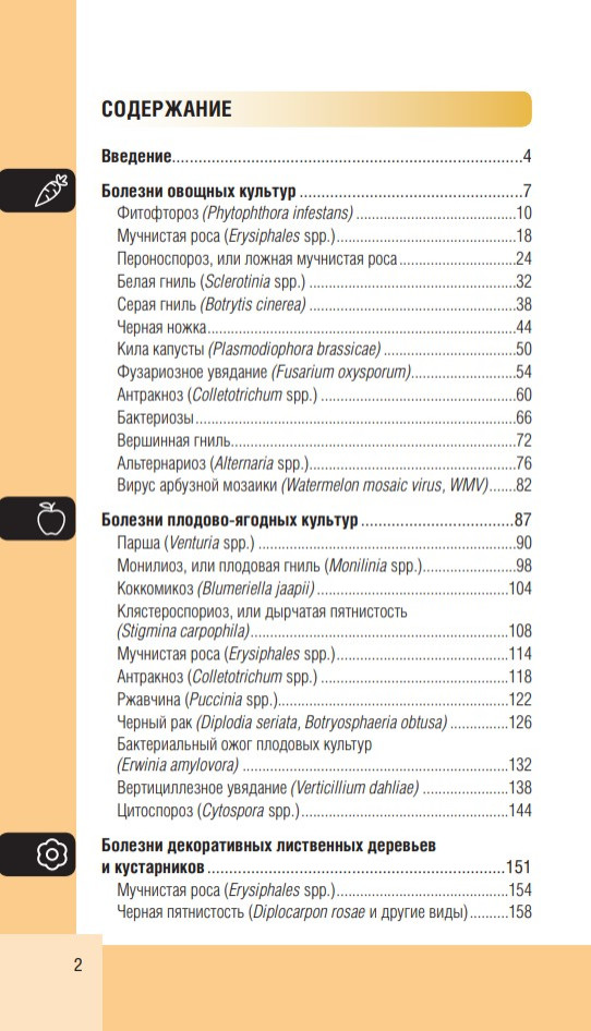 ������� ���� � �������: ��������� �����-������������