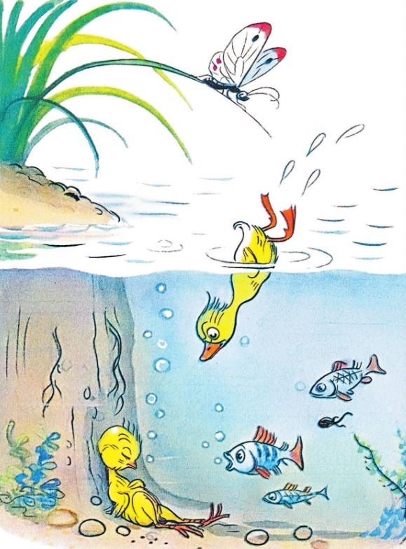 ������ �������� �����������: ������