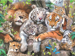 Super 3D Puzzle:  