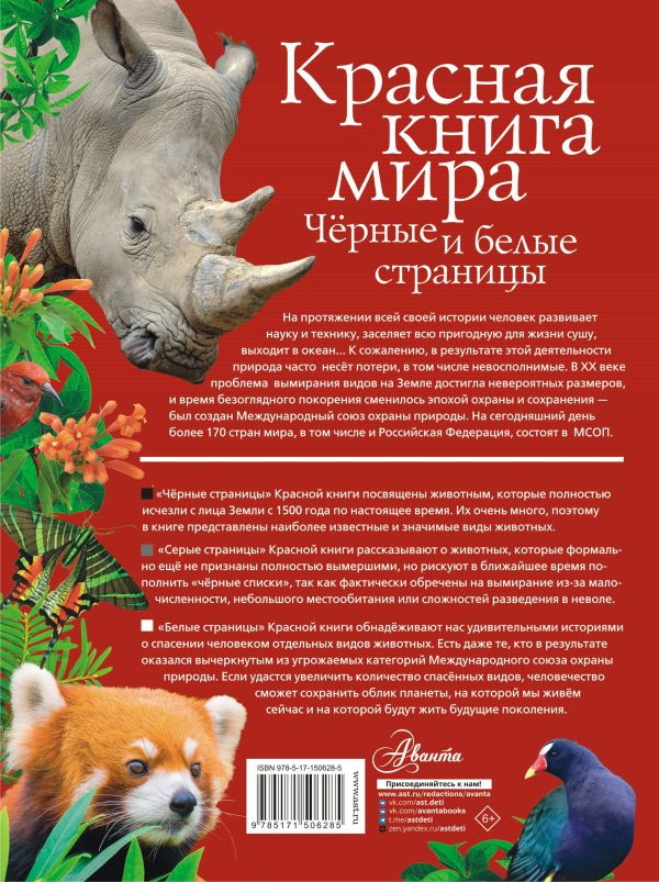 ������� ����� ����: ������ � ����� ��������