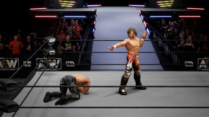 AEW: Fight Forever. Elite Edition [PC,  ]