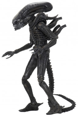  NECA: Alien 40th Anniversary  Xenomorph Scale Action Figure Series 3 (17 )