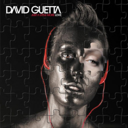 David Guetta  Just A Little More Love (2 LP)