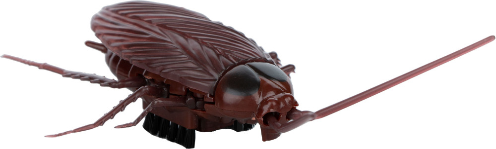 ������� ������� �� ���������� ����������