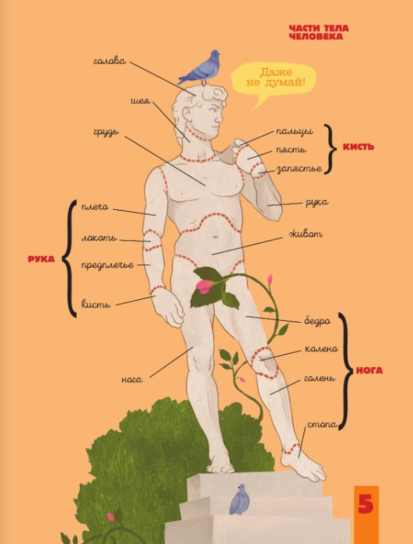 ���� ��������