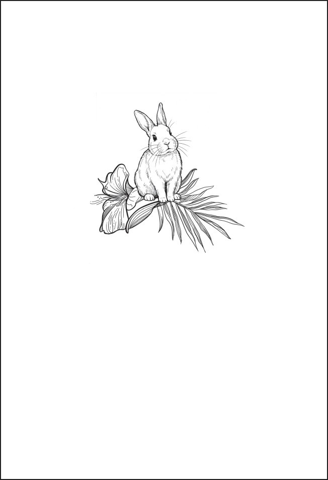 �� ����� (�������������� �������)