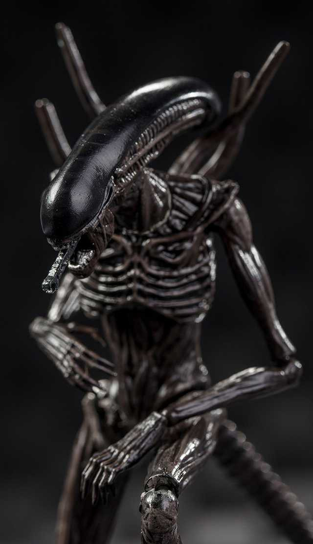  Aliens: Covenant  Xenomorph (10 )