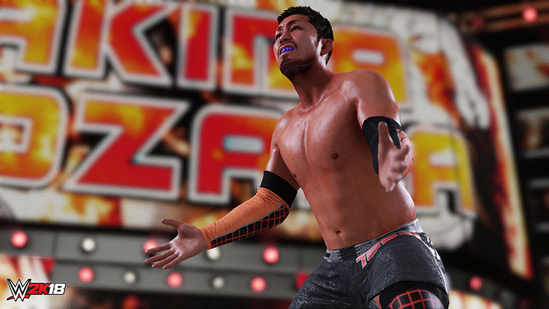 WWE 2K18. Accelerator  [PC,  ]