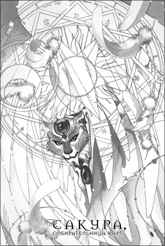 ����� ������, �������������� ����. ��� 5