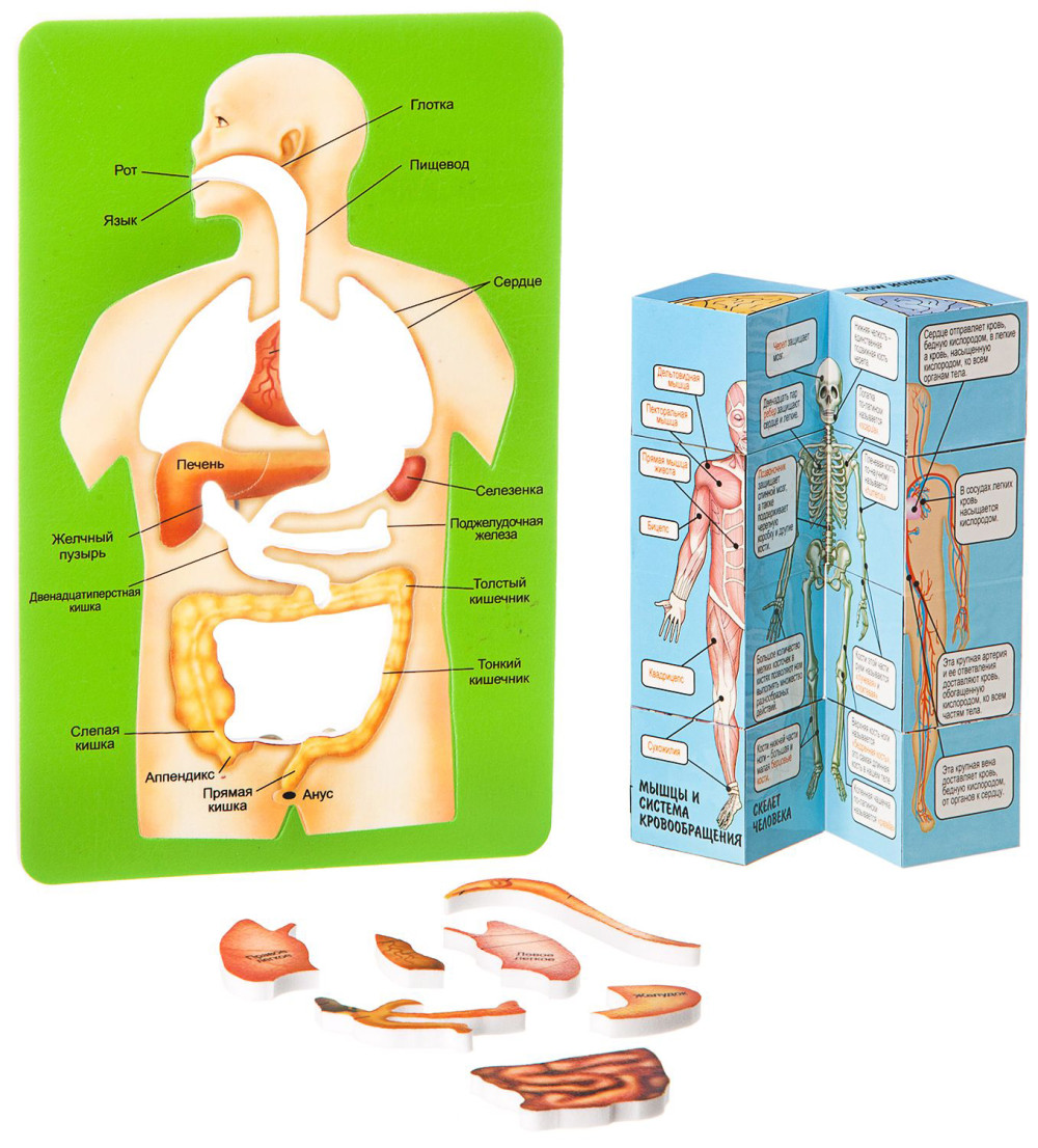 �������� �����: ����� � ���� � �������������� ��������