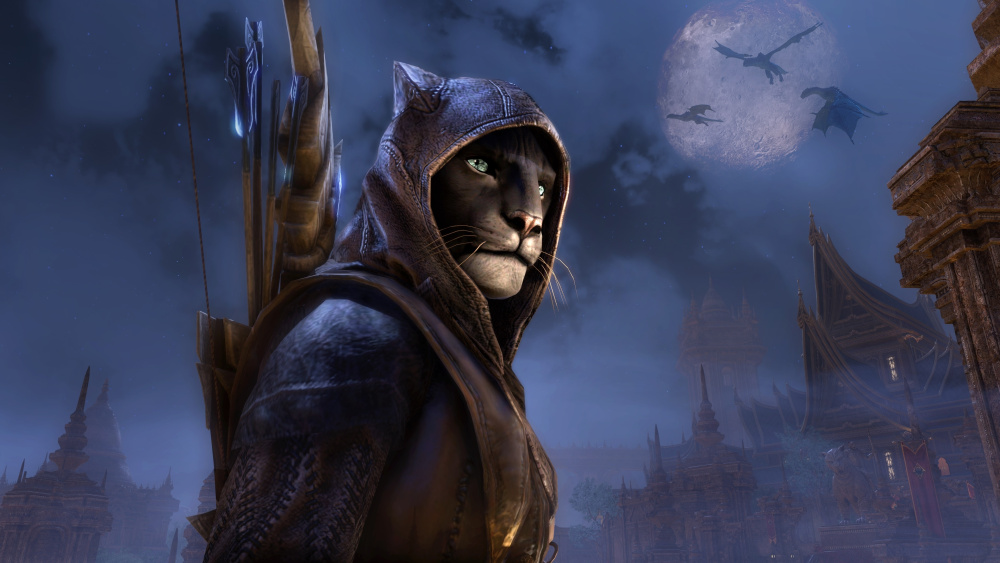 The Elder Scrolls Online: Elsweyr (Bethesda Launcher) [PC,  ]