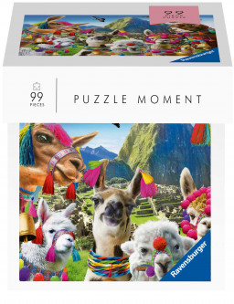 Puzzle  (99 )