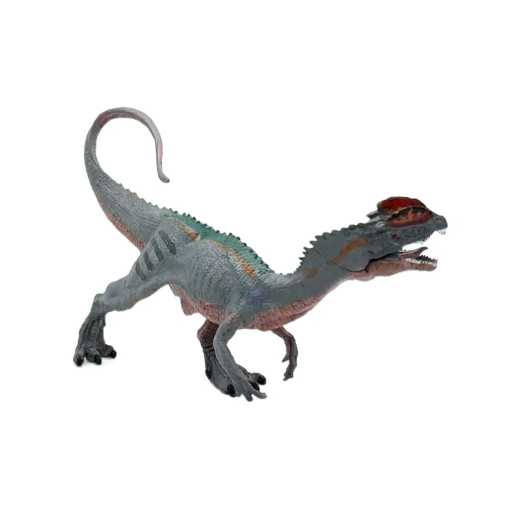 ������� ���������: ���������� (����� / ������� / ���������� / �������) (M5014)